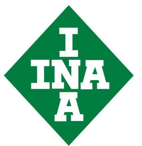 INAֱ߻-¹INA,INA